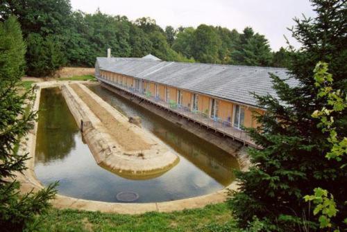 Motel Dačice Kültér fotó